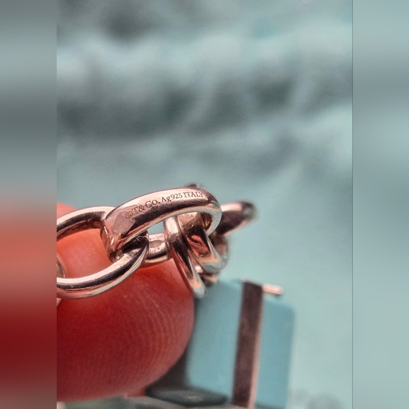 Tiffany & Co. Tiffany & Co. Oval Clasping Multi Enamel Charm Bracelet High Heel - Picture 8 of 11